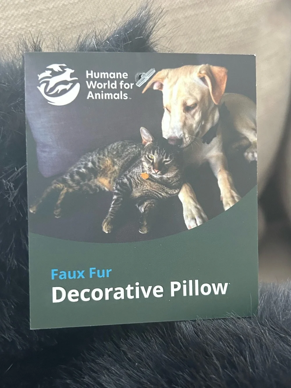 “New” Humane World For Animals Black Cat Decorative Pillow